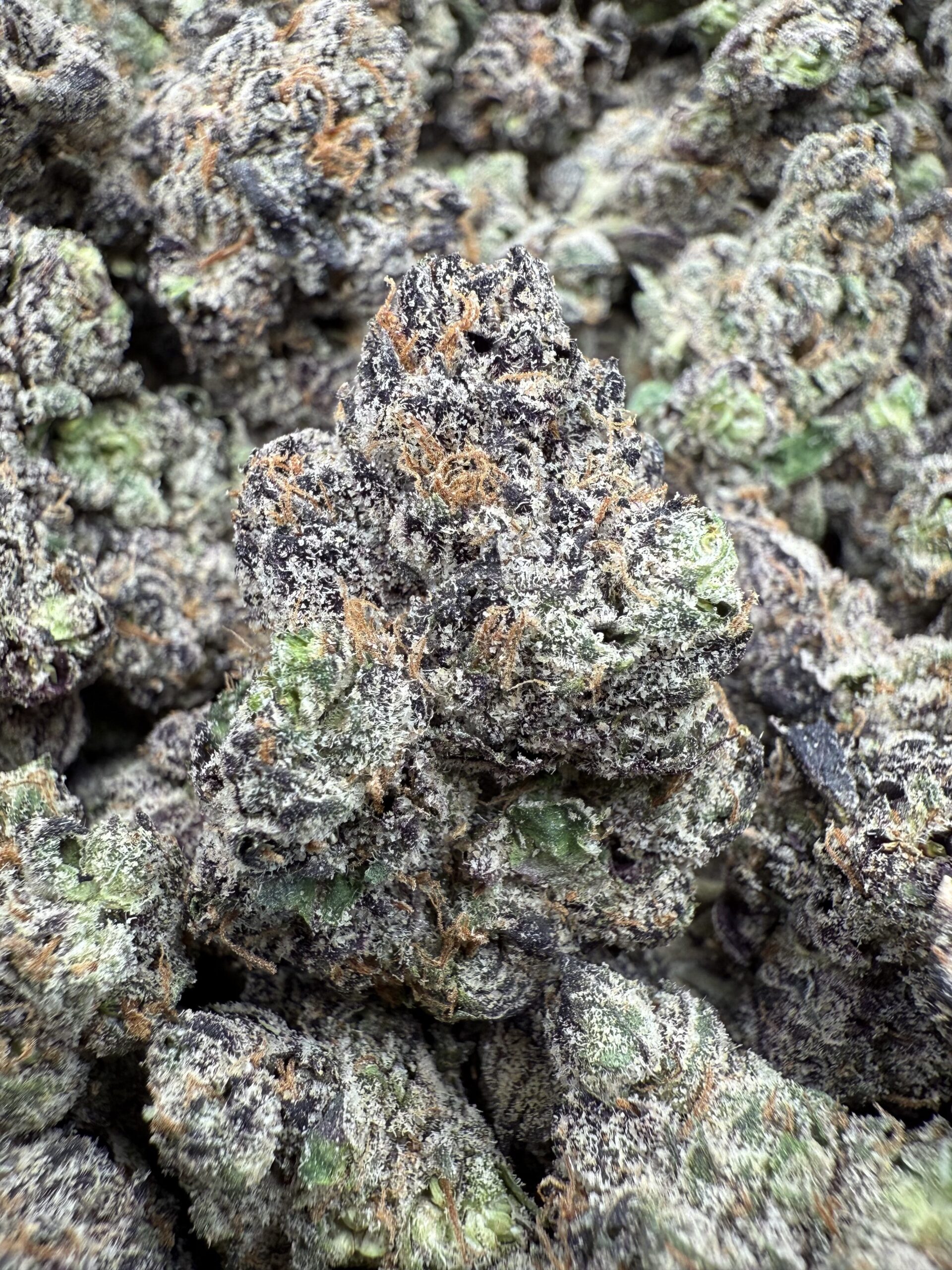 Where To Buy Best Weed DC