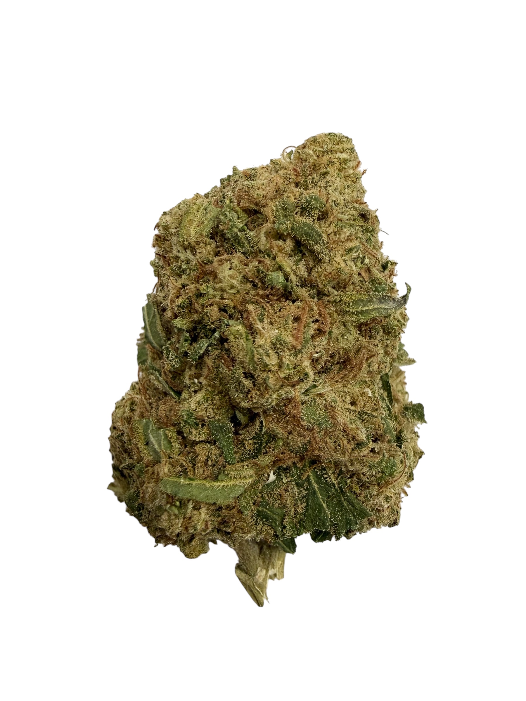 Photoroom 20260423 074658