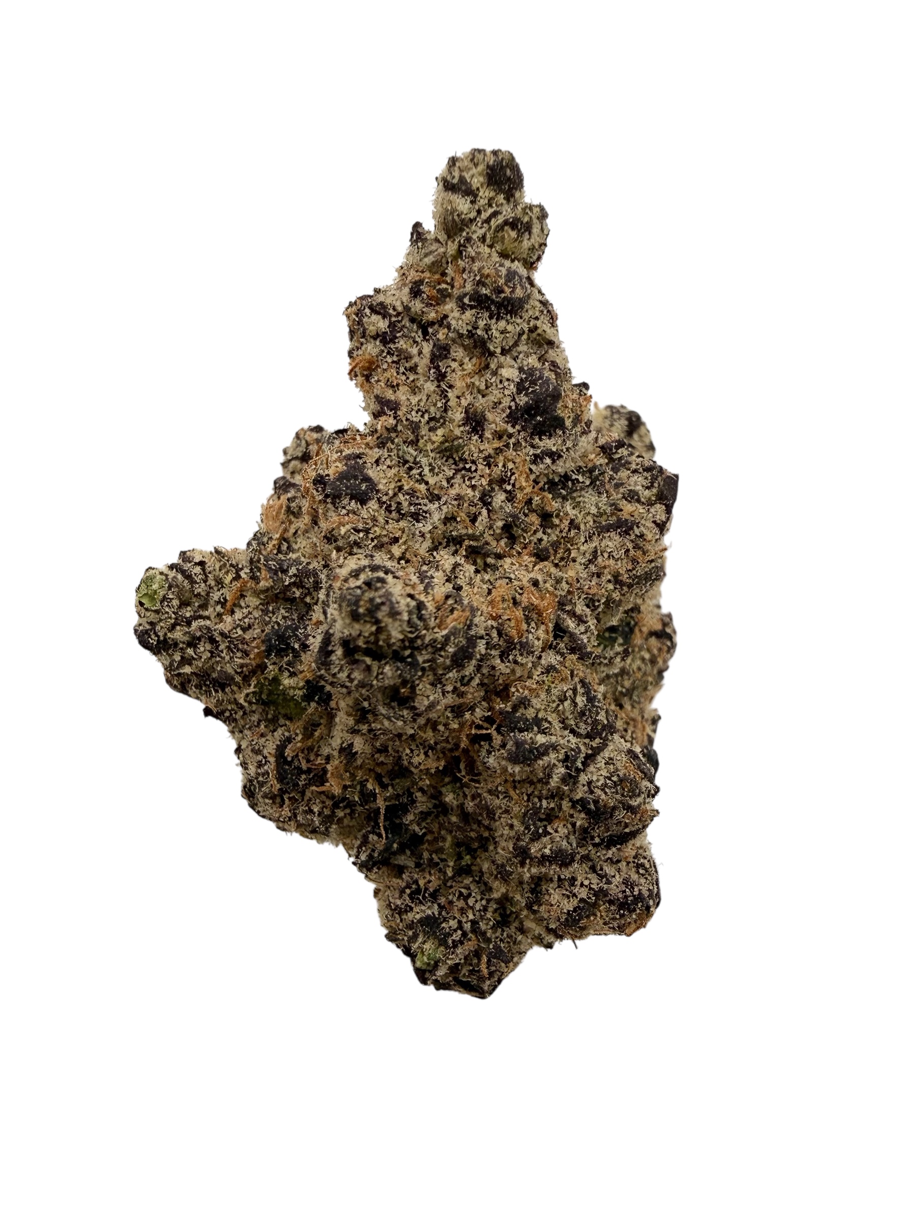 Photoroom 20260323 151627