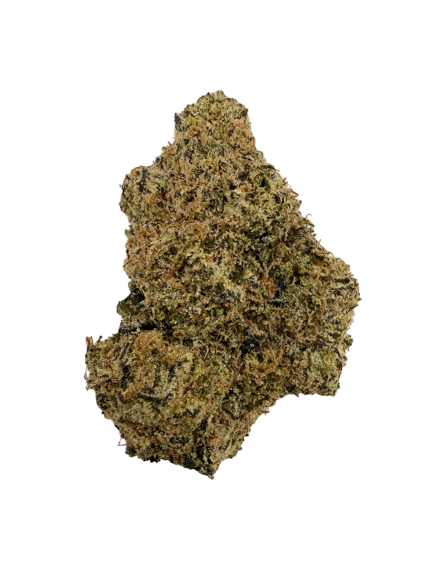 Photoroom 20260420 120413