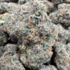 Premium Indoor Weed Wharf DC