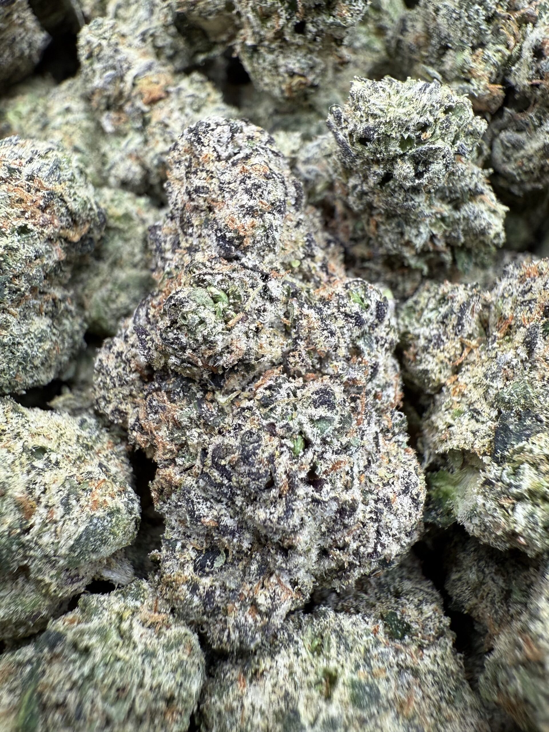 Designer Wharf Weed Dispensary