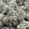 Best Indoor Flower DC