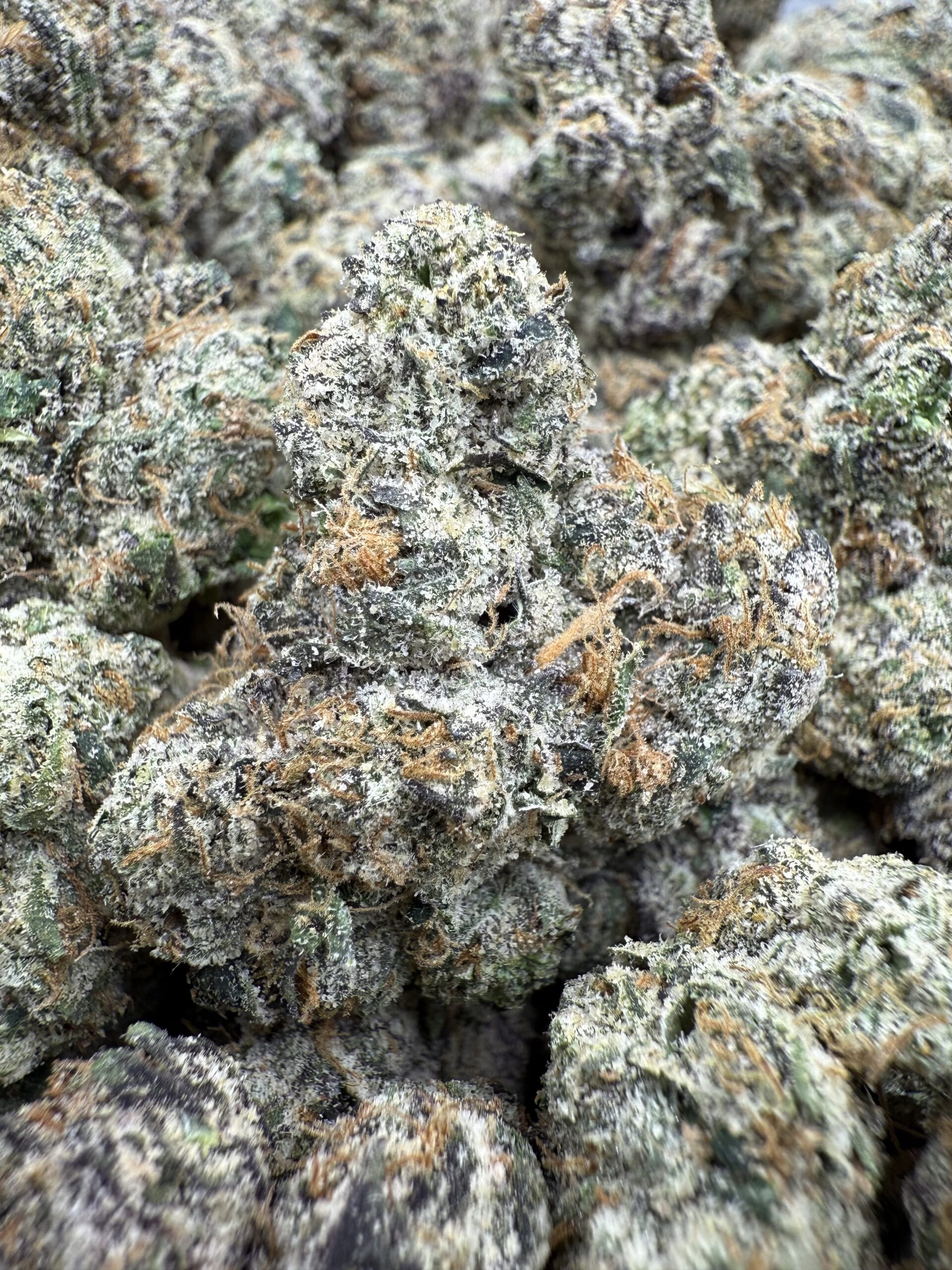 Best Indoor Flower DC