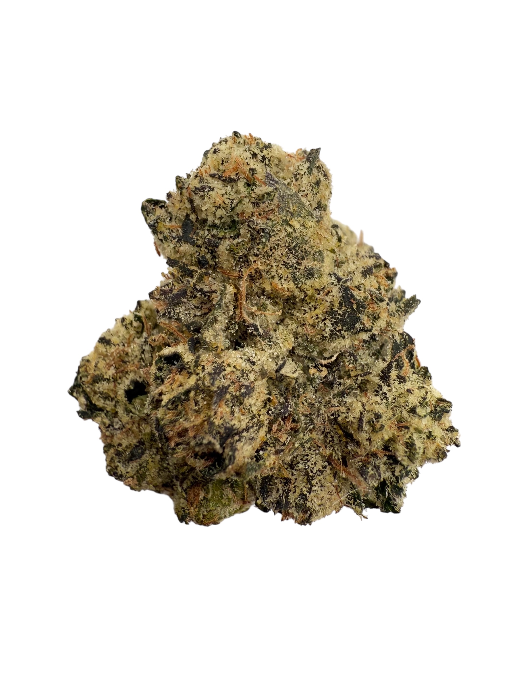 Photoroom 20260225 065941