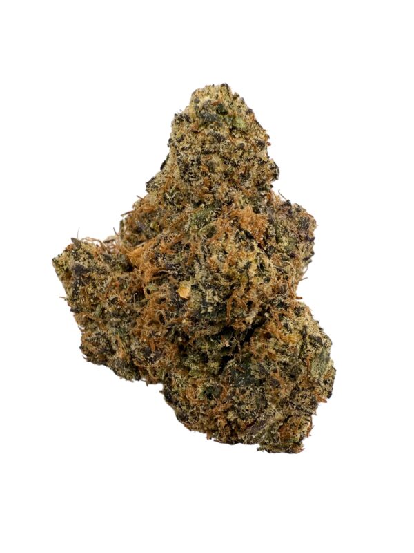 Photoroom 20260225 070459