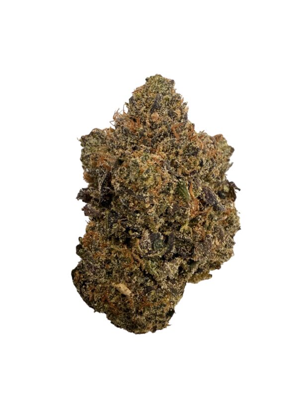 Photoroom 20260417 075150