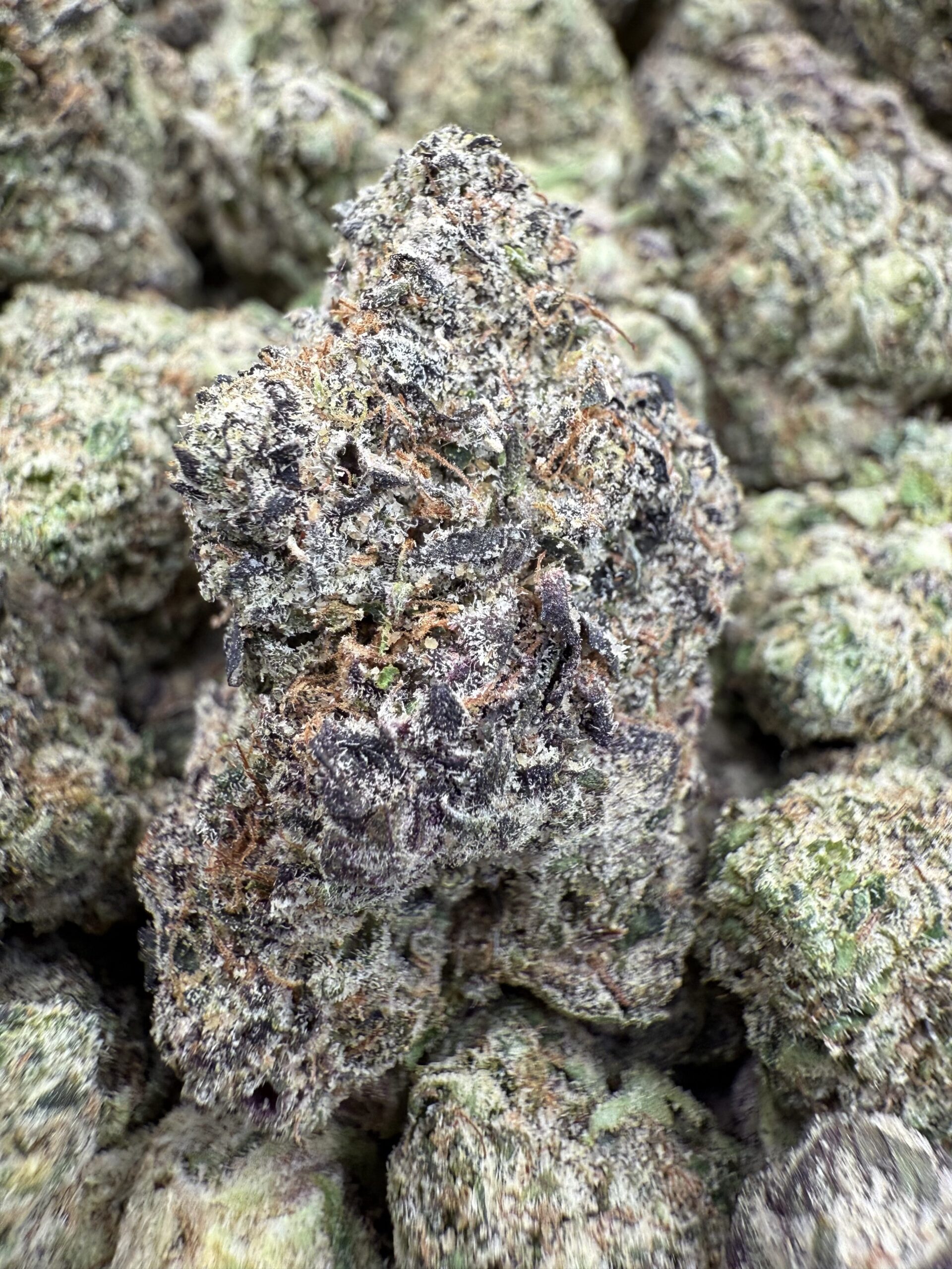 Top Shelf Cannabis Washington DC