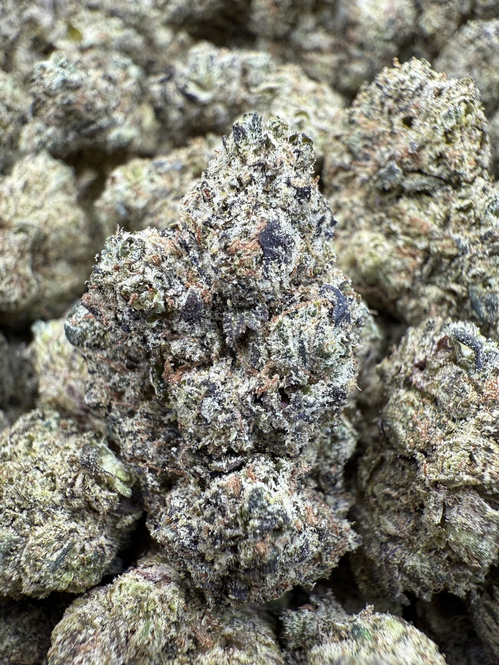 Designer Weed Washington DC