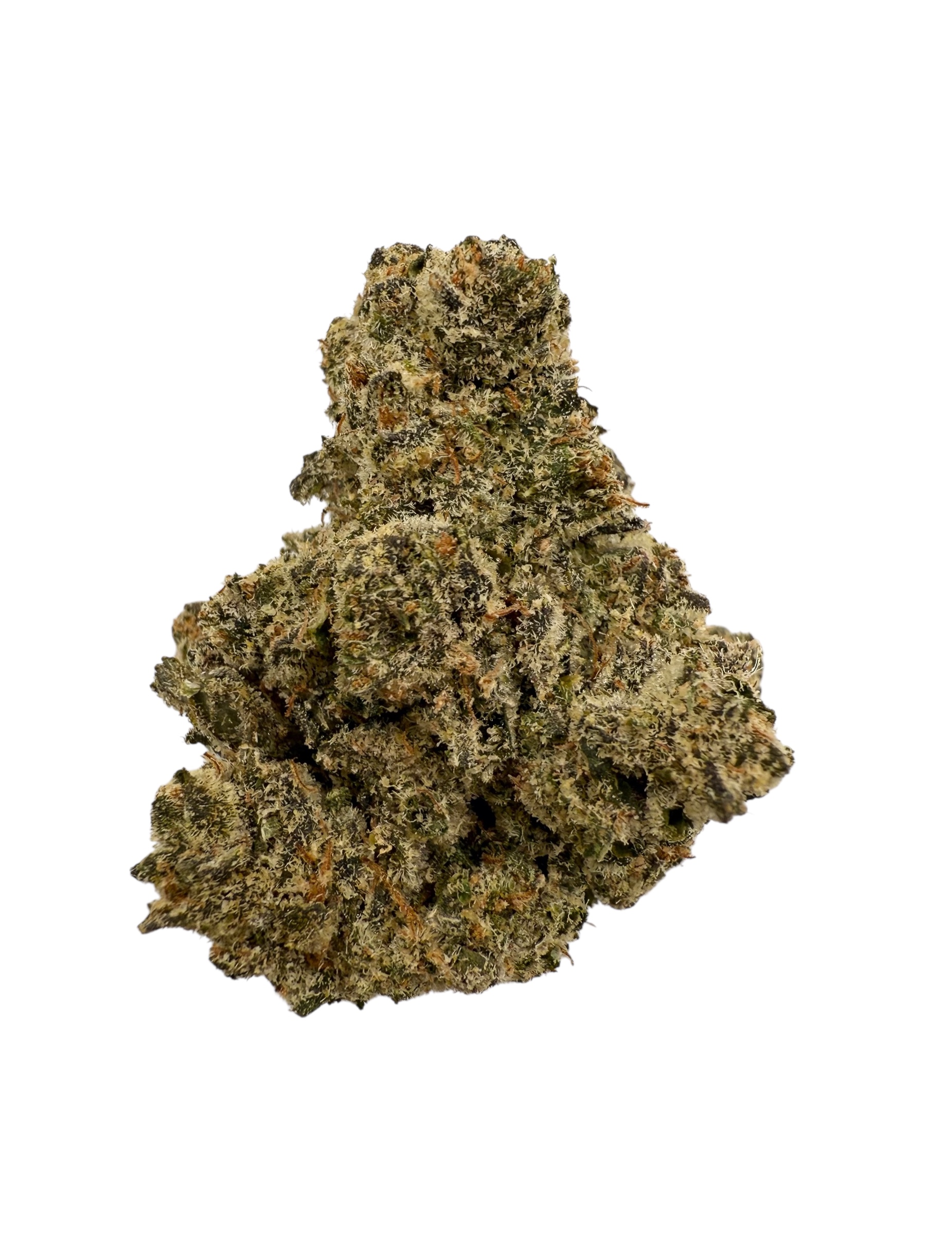 Photoroom 20260225 071131