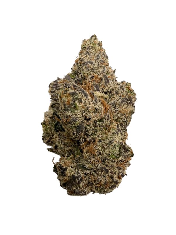 Photoroom 20260417 075131