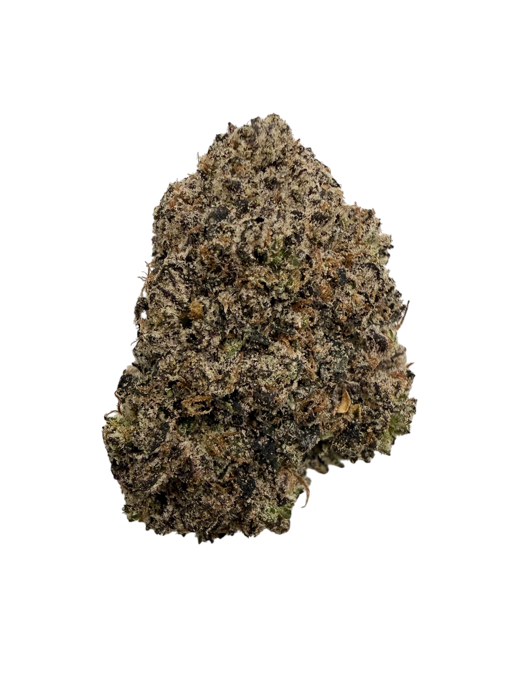 Photoroom 20260420 120449