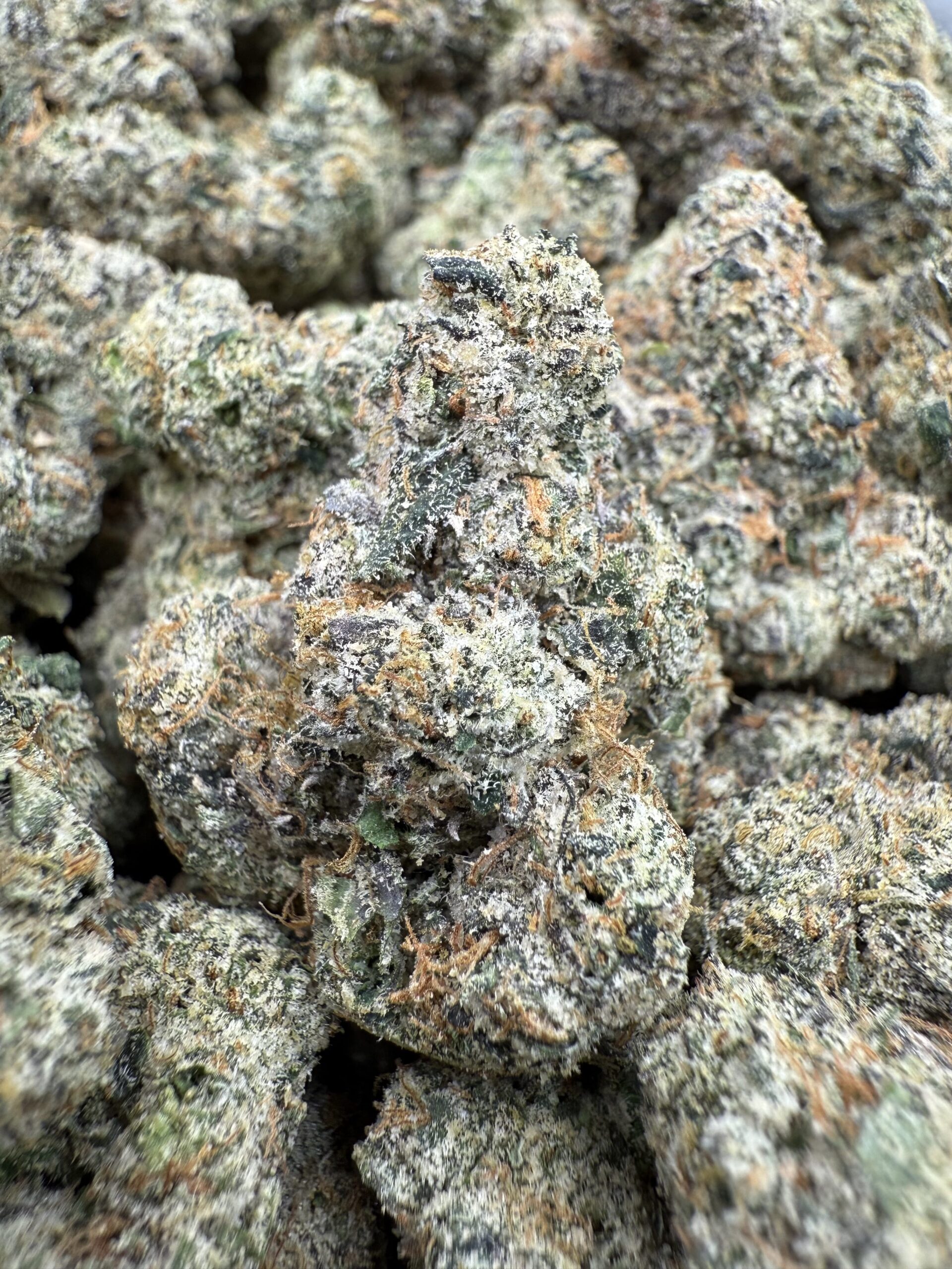 Indoor Weed Wharf DC