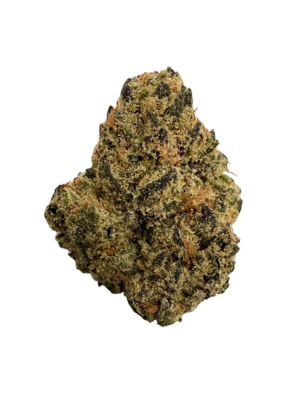 Photoroom 20260304 150423