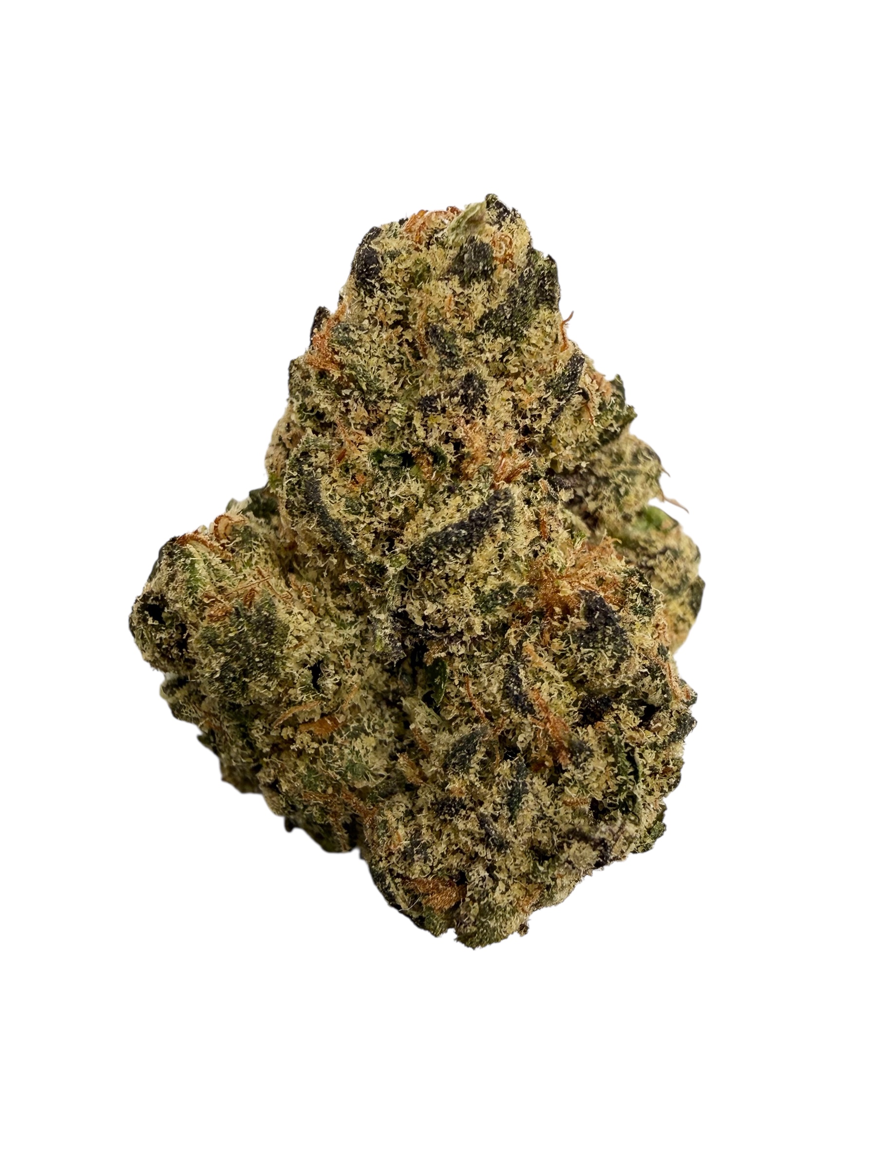 Photoroom 20260304 150423