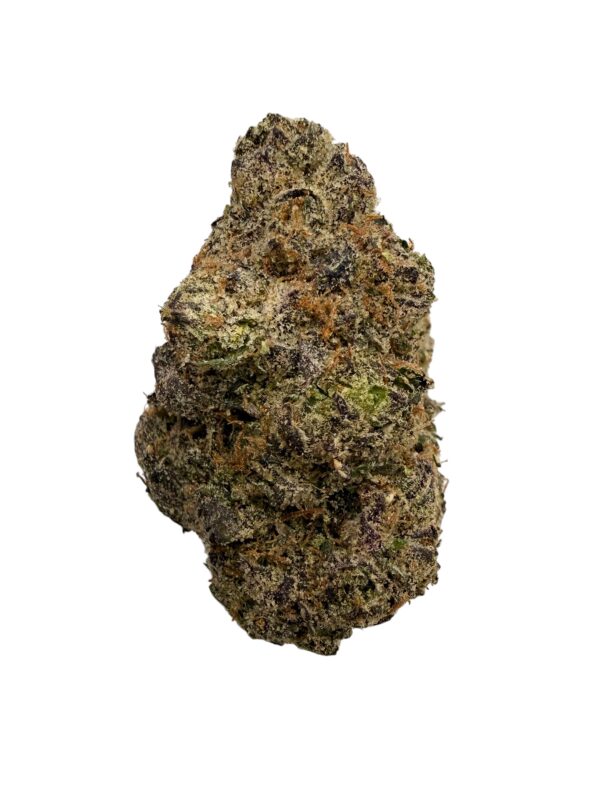 Photoroom 20260403 061207