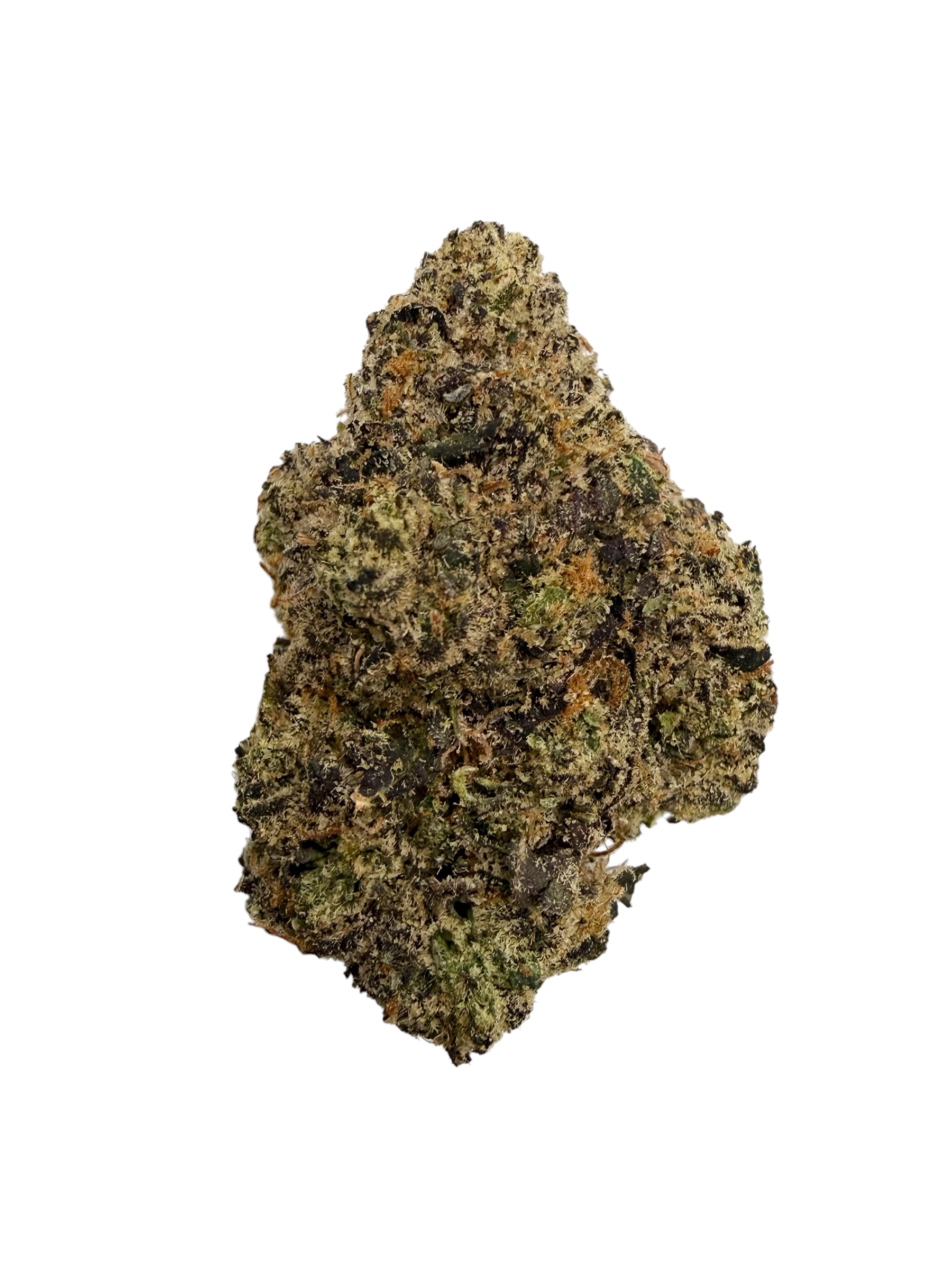 Photoroom 20260420 120516