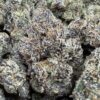 Best Weed In DC