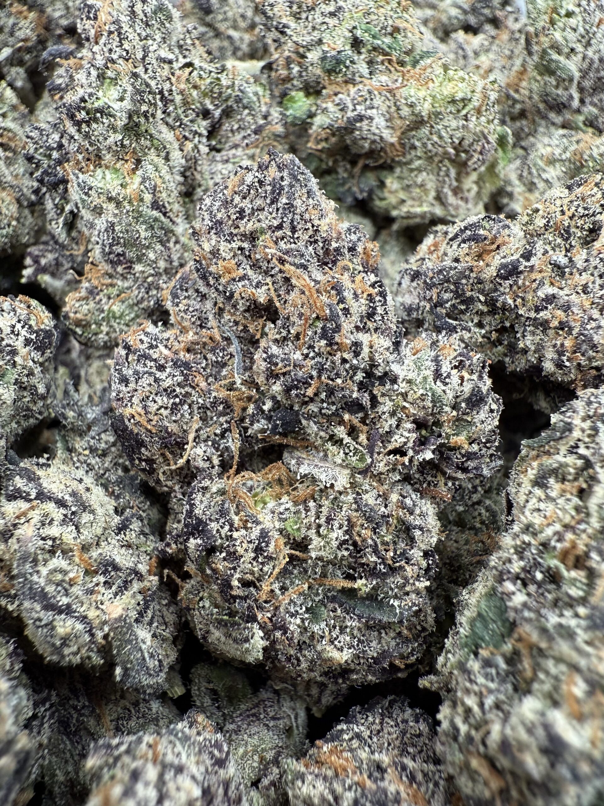 Best Weed In DC