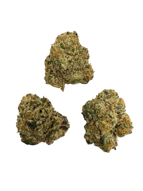 Photoroom 20260417 181233