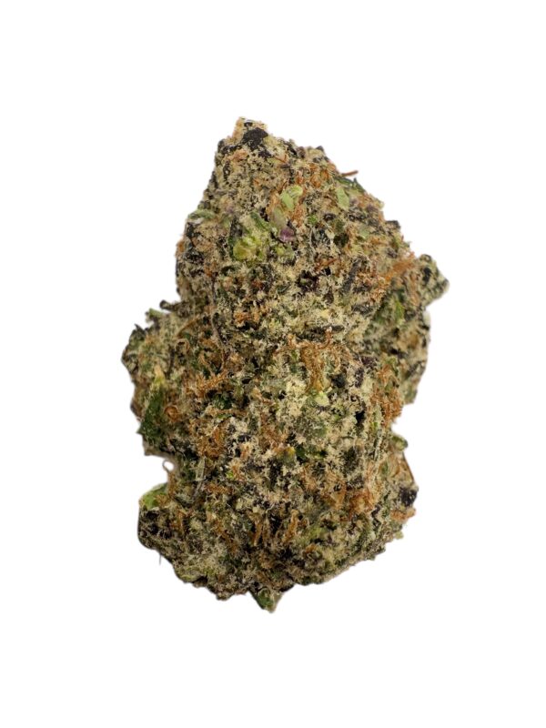 Photoroom 20260127 133855