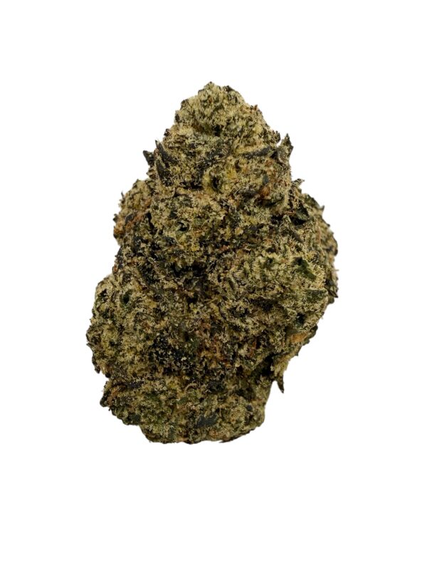 Photoroom 20260323 151648