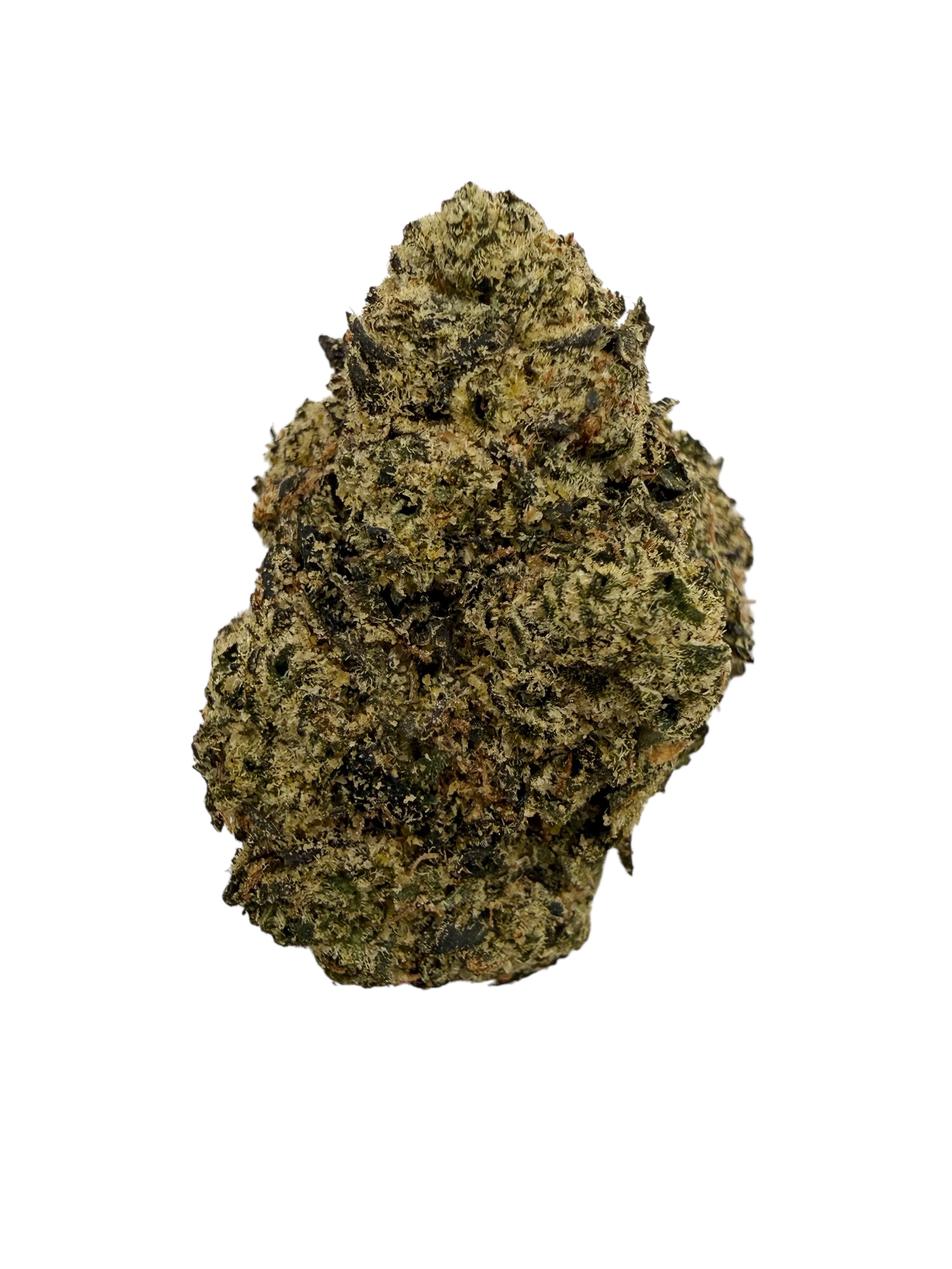 Photoroom 20260323 151648