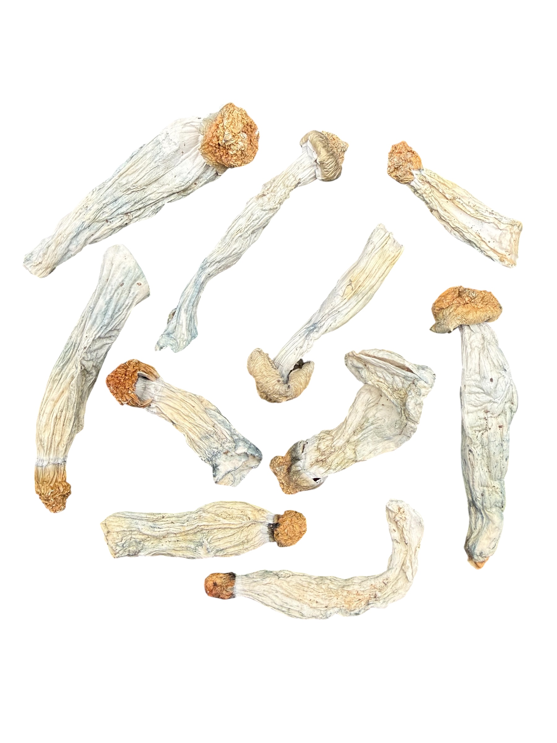 Photoroom 20260414 103800