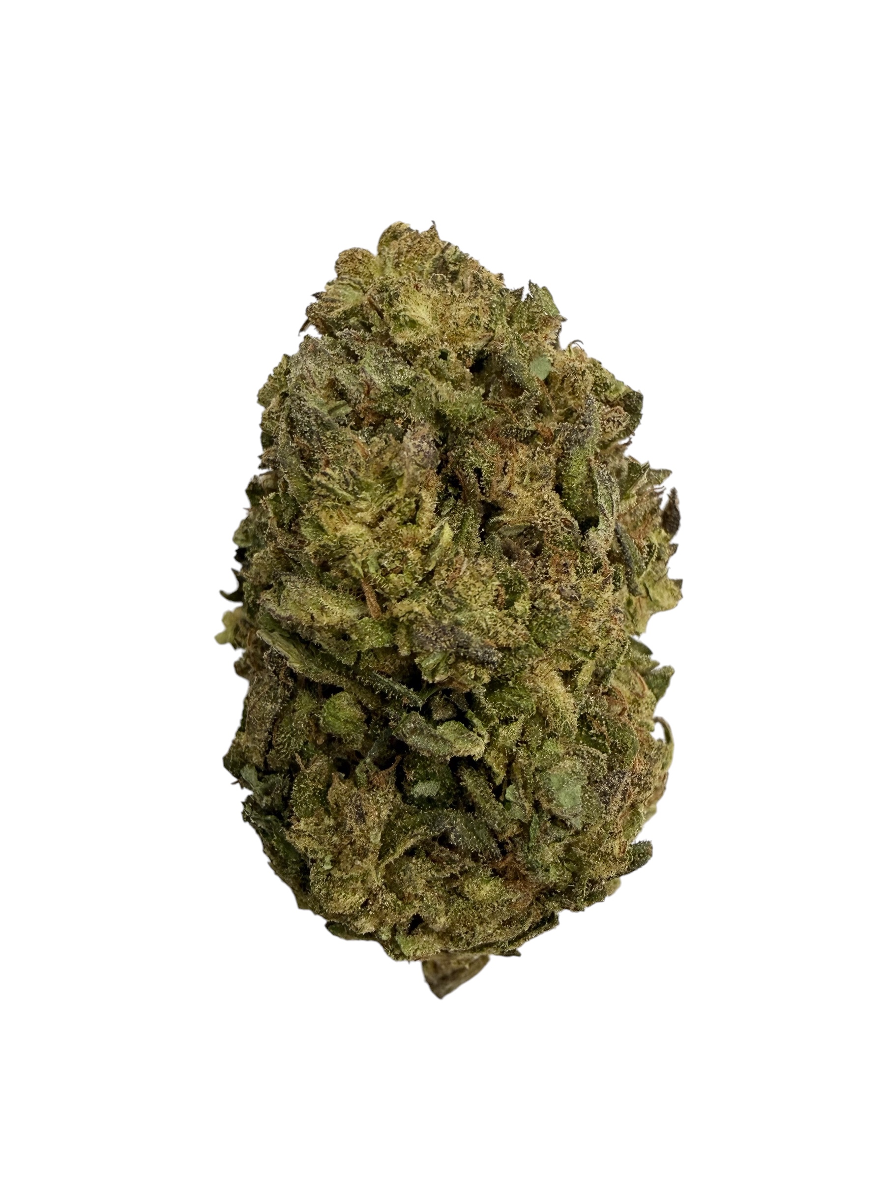 Photoroom 20260423 074641