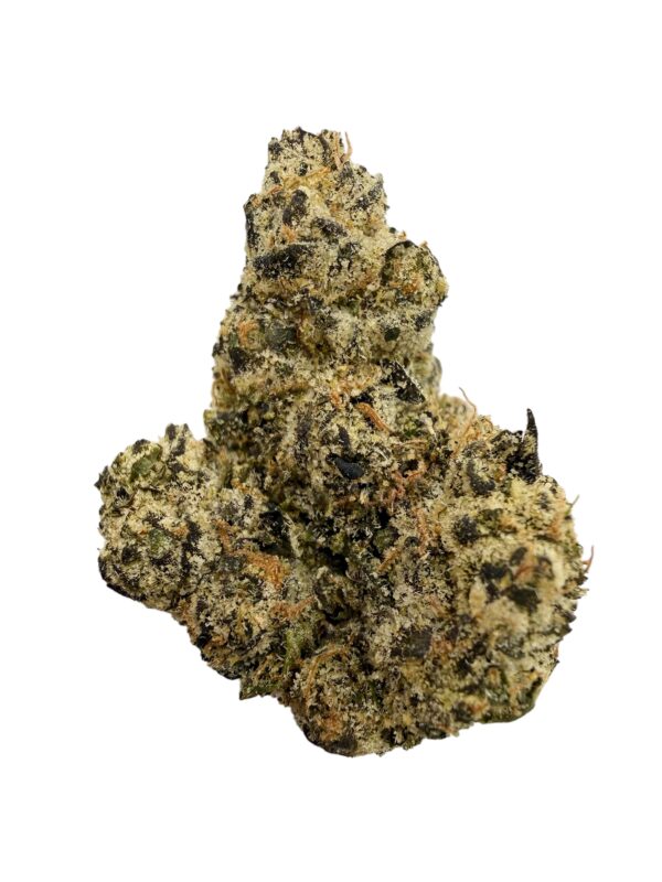 Photoroom 20261001 080414