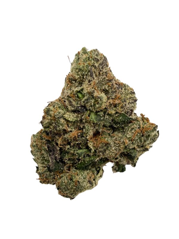 Photoroom 20260304 150358