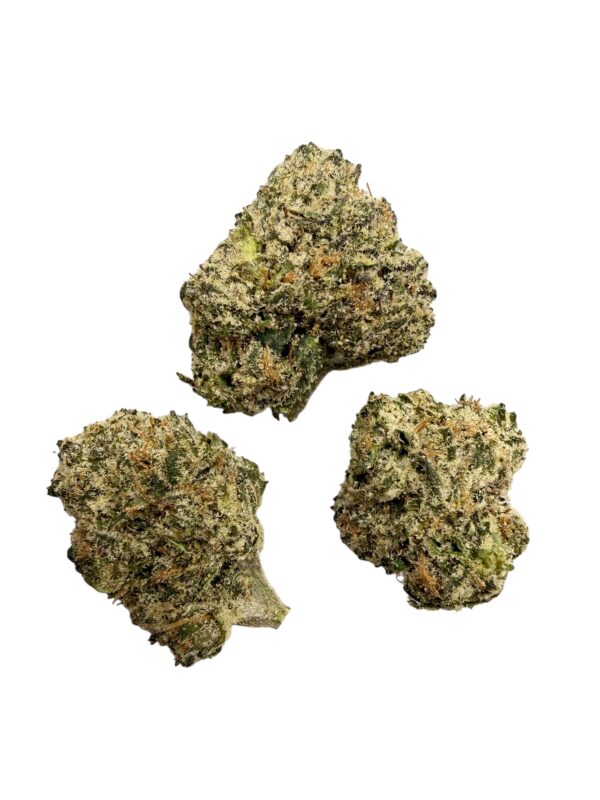 Photoroom 20260307 133841