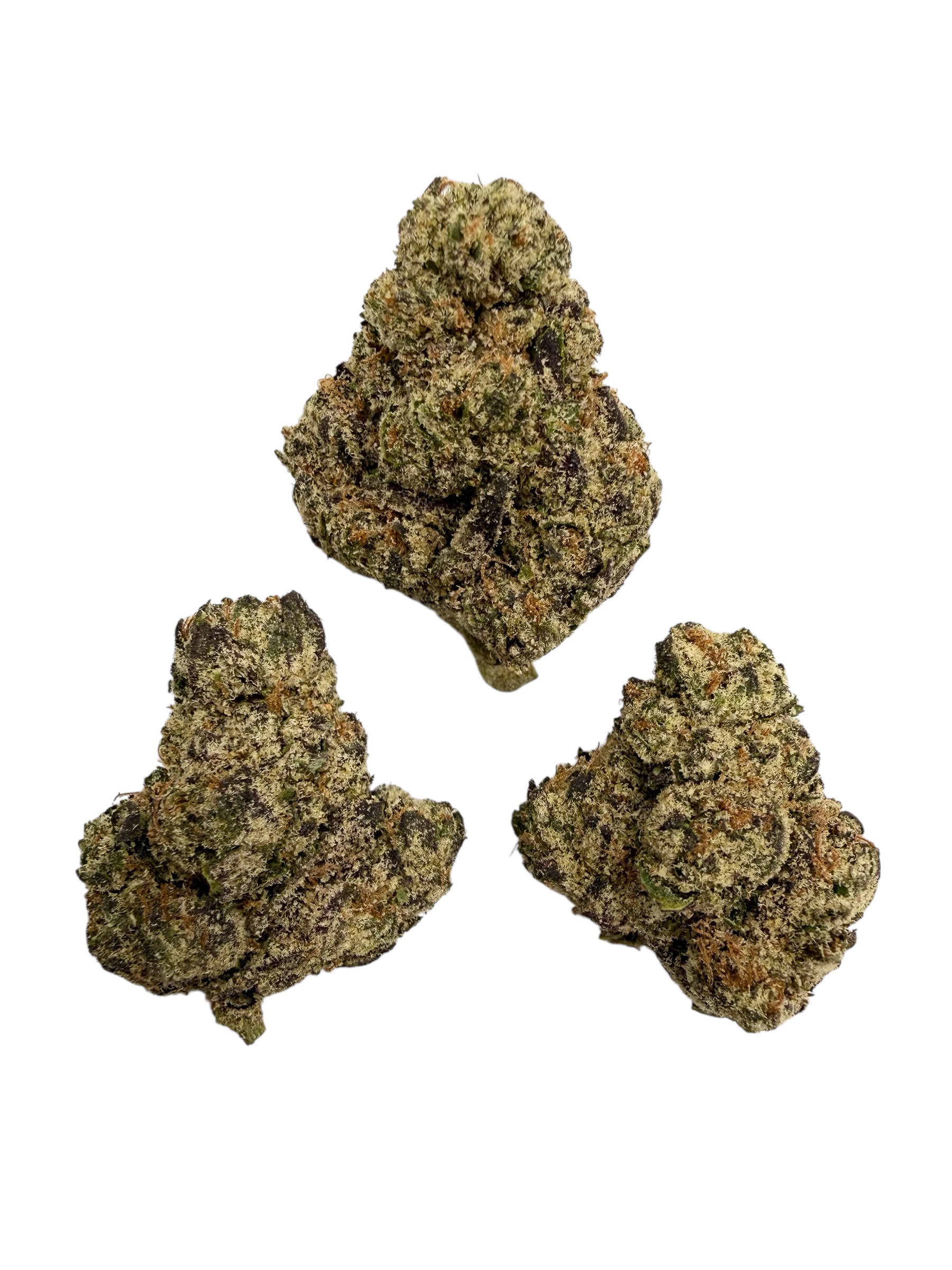 Photoroom 20260314 104146