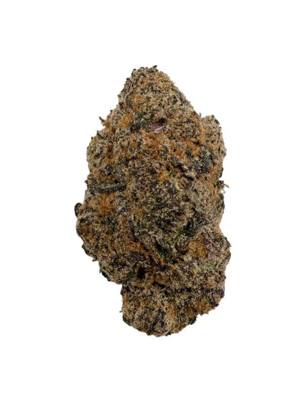 Photoroom 20260420 120546