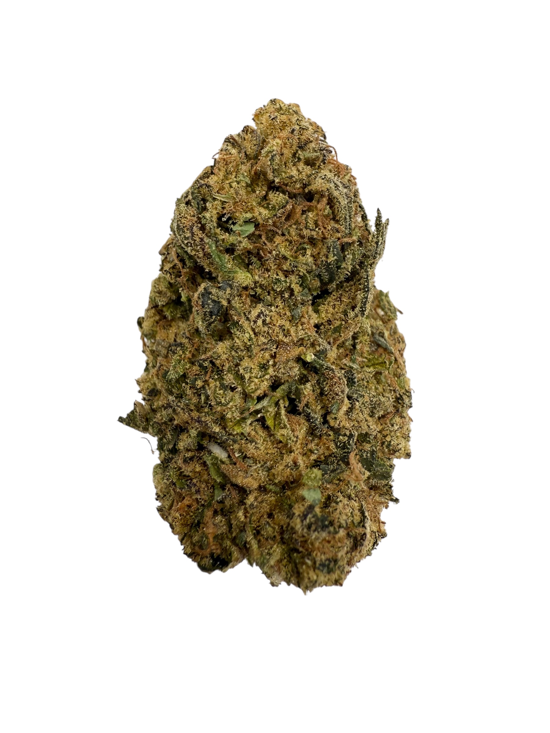 Photoroom 20260224 083413