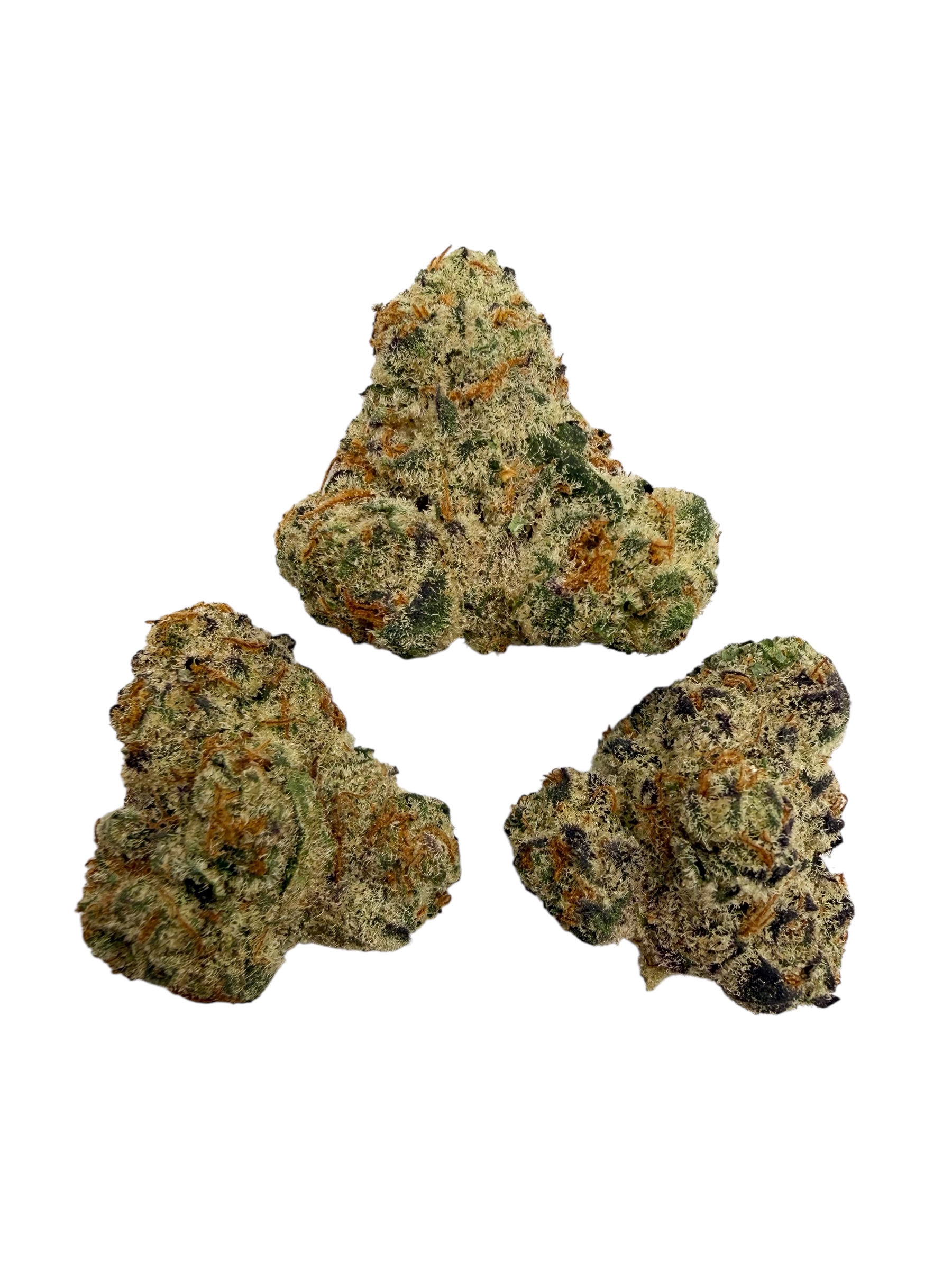 Photoroom 20260304 155450