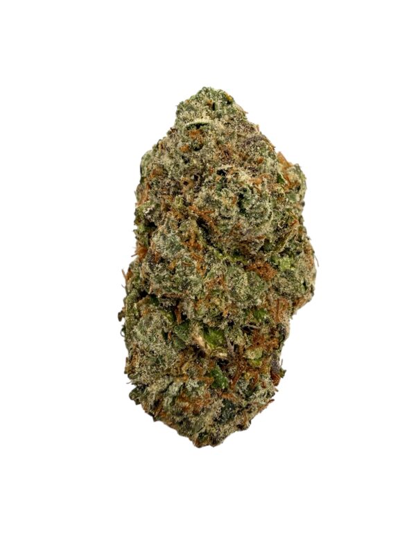 Photoroom 20260304 165410