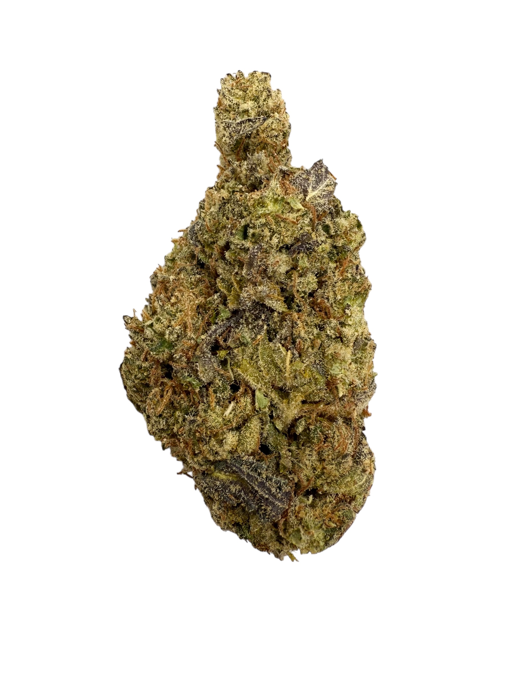 Photoroom 20260224 120420