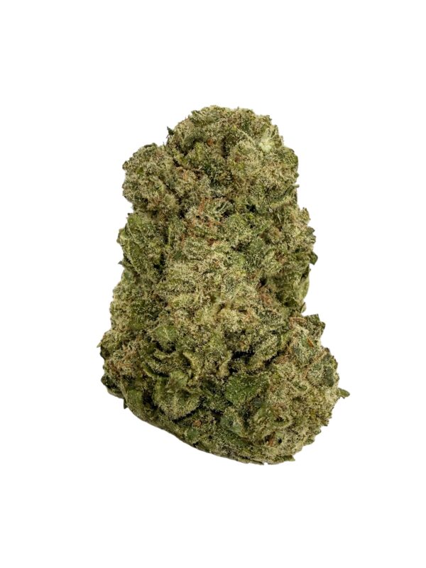 Photoroom 20260423 074624